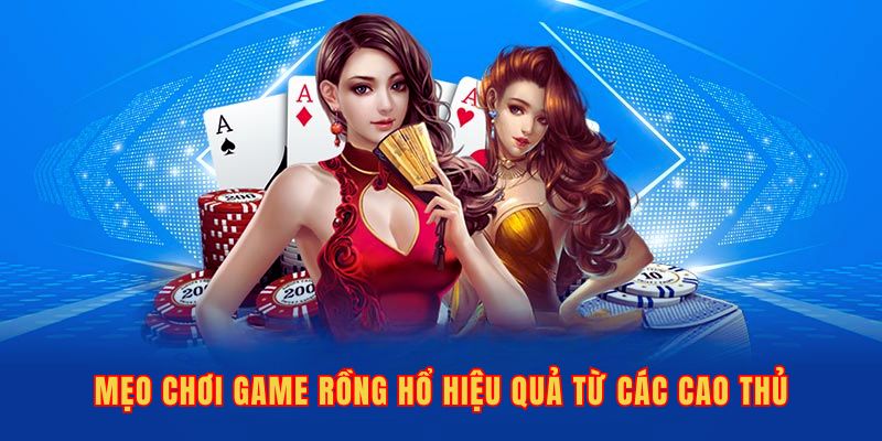 Mẹo chơi game Rồng Hổ hiệu quả từ các cao thủ