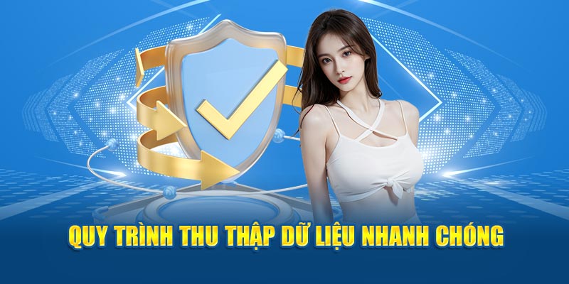 Những thông tin chính trong chính sách bảo mật